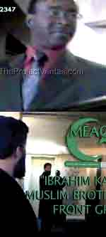 O'Keefe's tricksters
