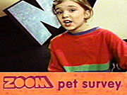 Hayley reports on pet survey