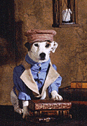 photo of Wishbone the dog
